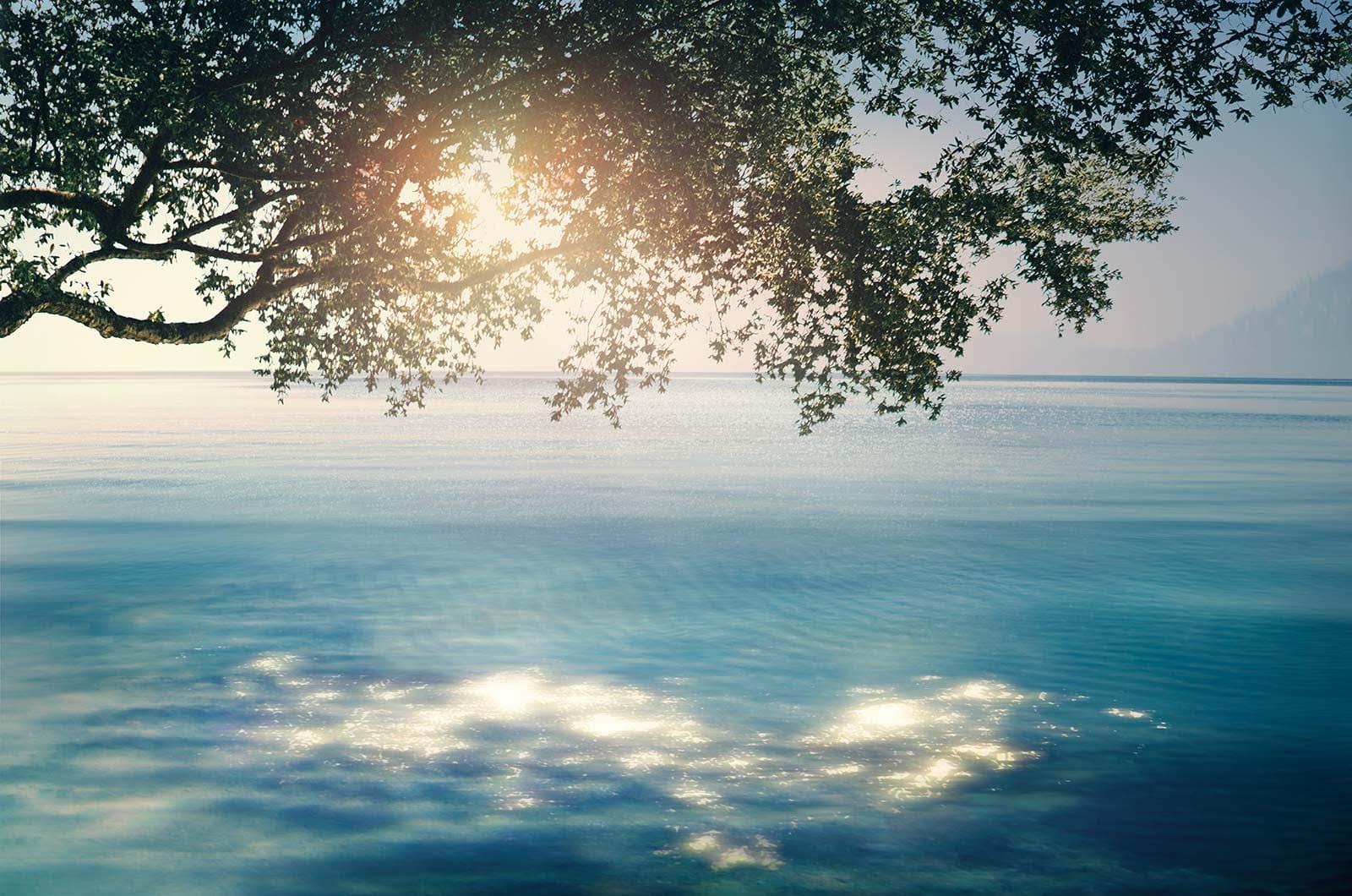 Deep Sea Blue Summer Splash Sale