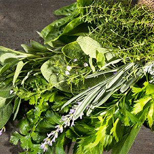 Sage, Amber & Mint
