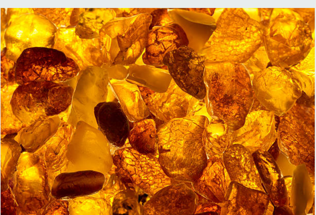 Citrus & Amber Woods Fragrance Oil