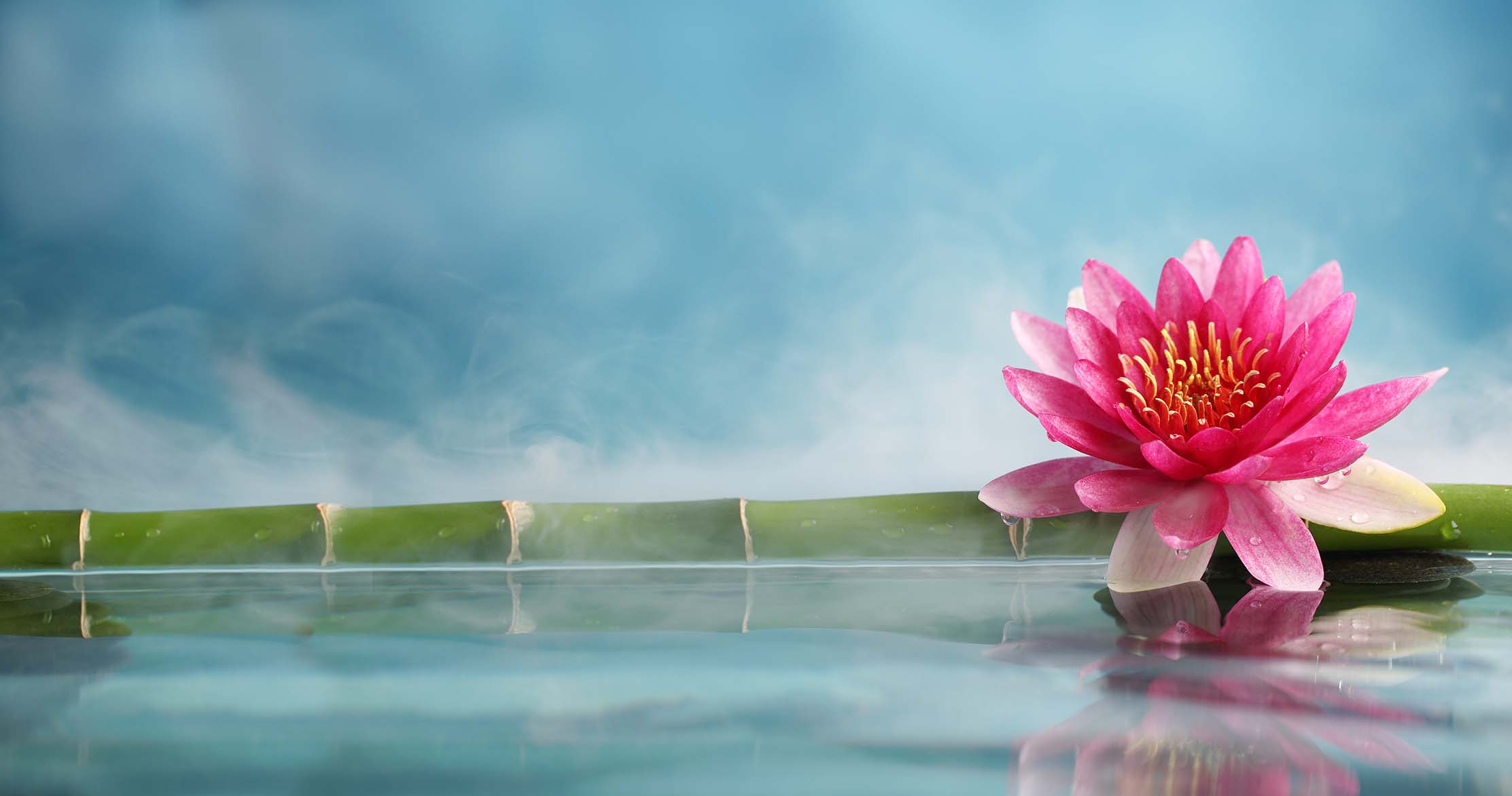 Bamboo Waters