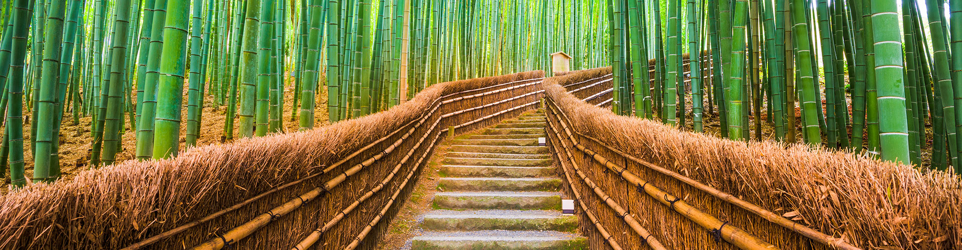 Bamboo Waters Fragrance Oil