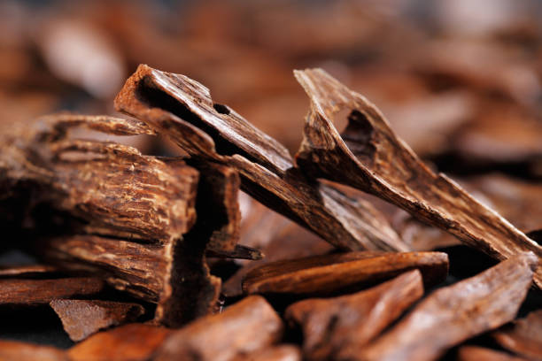 Bergamot Oud