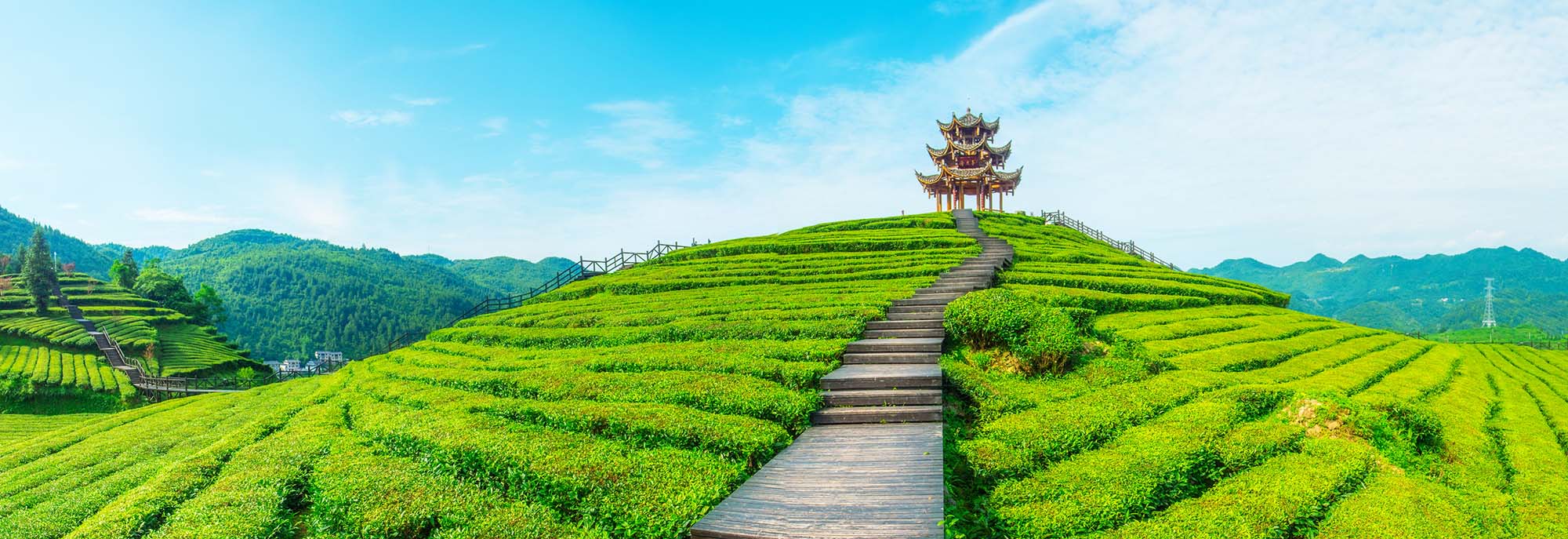Jade Tea Room Spray