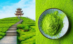 Jade Tea
