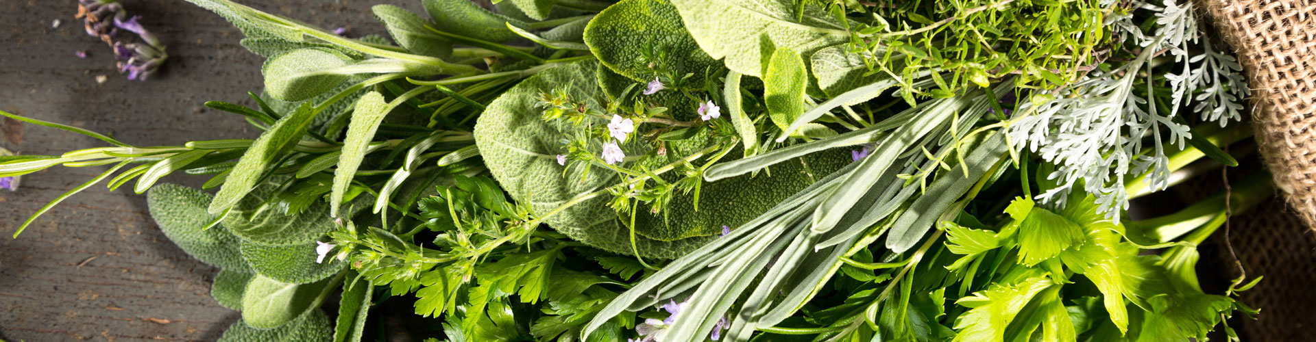 Sage Amber Mint Fragrance Oil