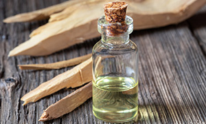 Santal
