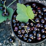 42433153 - black currants in the black bowl on a wooden stump